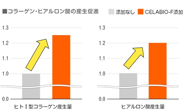 CELABIO-Fは、ヒトⅠ型コラーゲンとヒアルロン酸産生促進作用が確認された。シワやタルミなどの改善効果が期待できる。