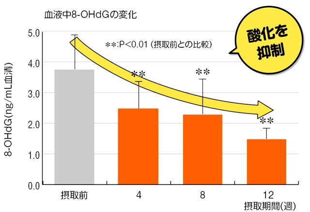 グラフ 血液中8-OhdGの変化