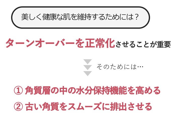 美しく健康的な肌を維持するためには？
ターンオーバーを正常化させることが重要である。
そのためには、
1.角質層の中の水分保持機能を高めること
2.古い角質をスムーズに排出させること