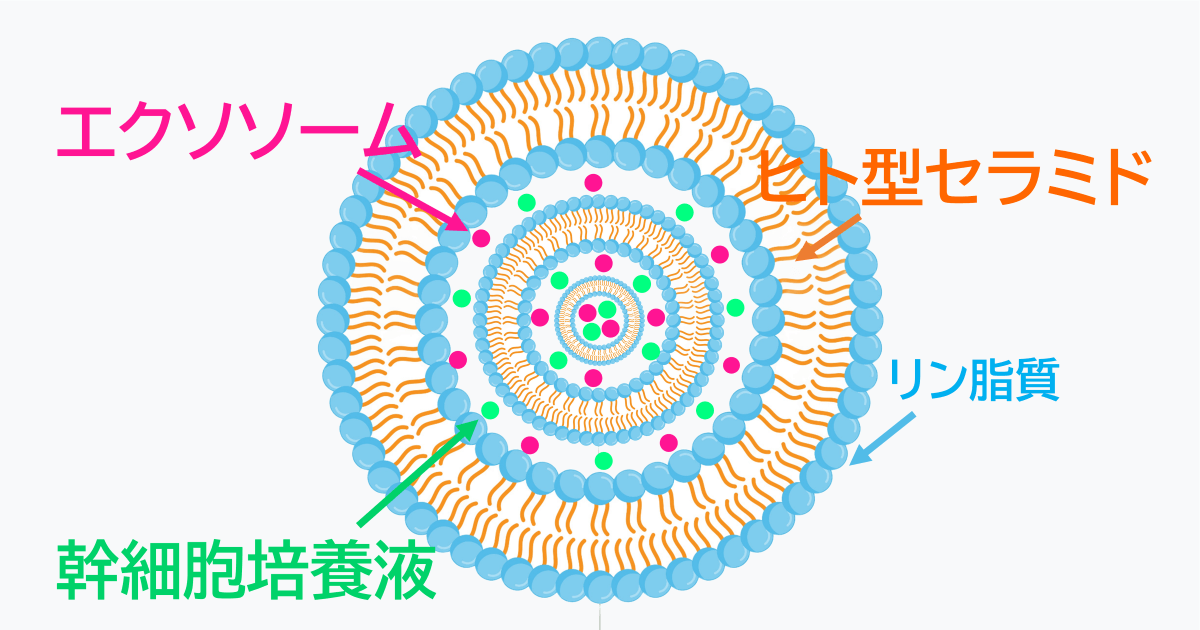 エクソソームをセラミド膜で届ける多重ナノカプセル技術