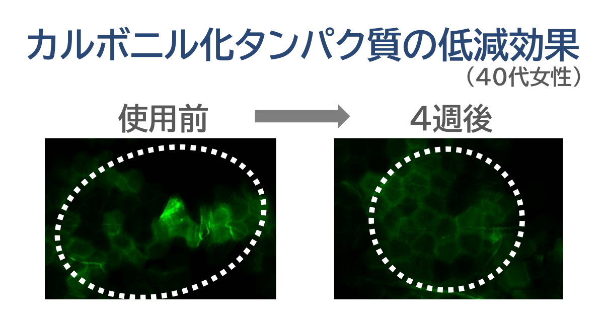 YUKIME®のカルボニル化タンパク質の低減効果