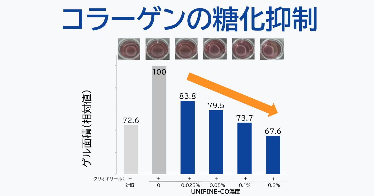 UNIFINE®-CO_コラーゲンの糖化抑制によるタルミ防止・ハリ改善効果