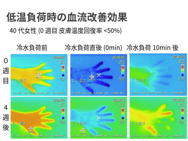 ROSE CRYSTA®-70の血管拡張作用による血流改善