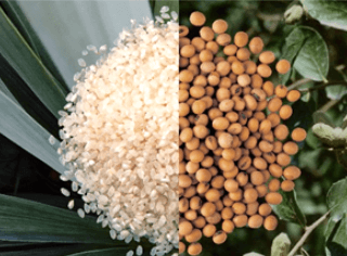 SENSEPUR®(センスピュール)-発酵由来エクソソーム含有の食品原料