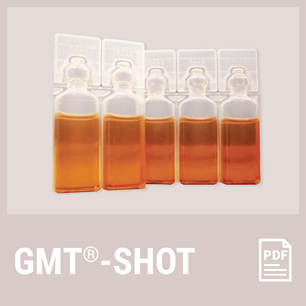 GMT PDF documents in English