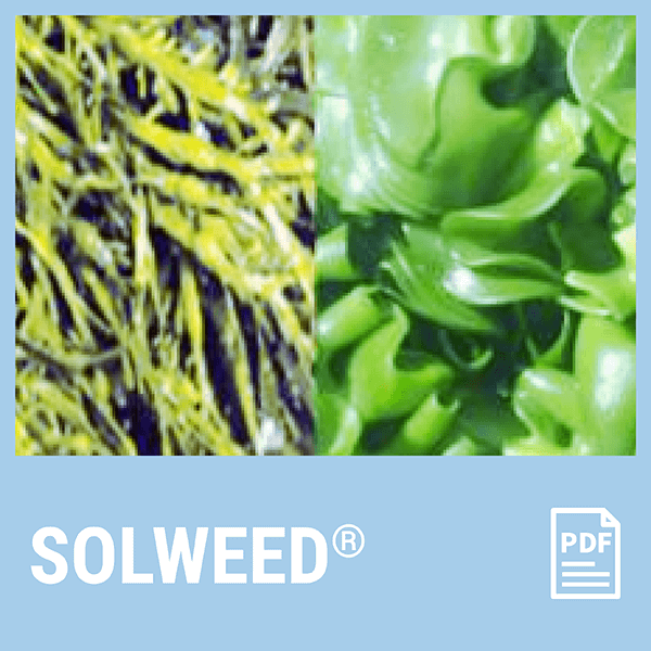 ROSE-CRYSTA PDF documents in English