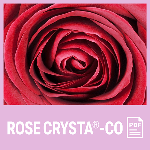 ROSE-CRYSTA-CO PDF documents in English