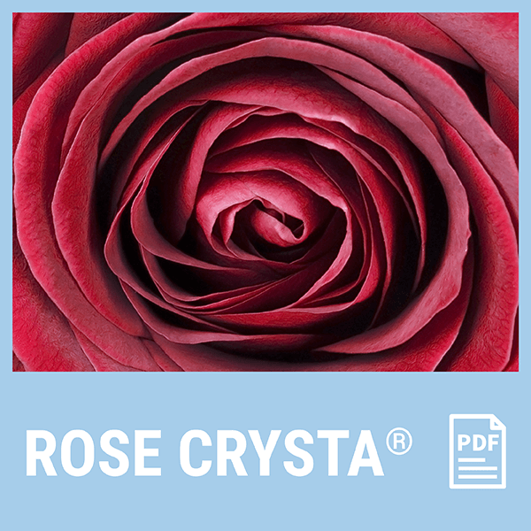 ROSE-CRYSTA PDF documents in English