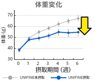 グラフ 体重変化