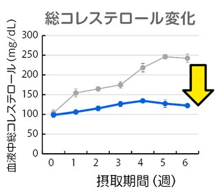 グラフ 総コレステロール変化