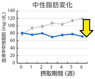 グラフ 中性脂肪変化