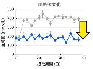 グラフ 血糖値の変化