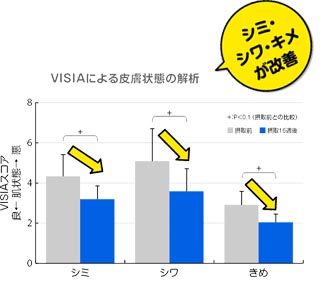 グラフ VISIAによる皮膚状態の解析