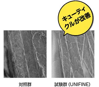 グラフ VISIAによる皮膚状態の解析