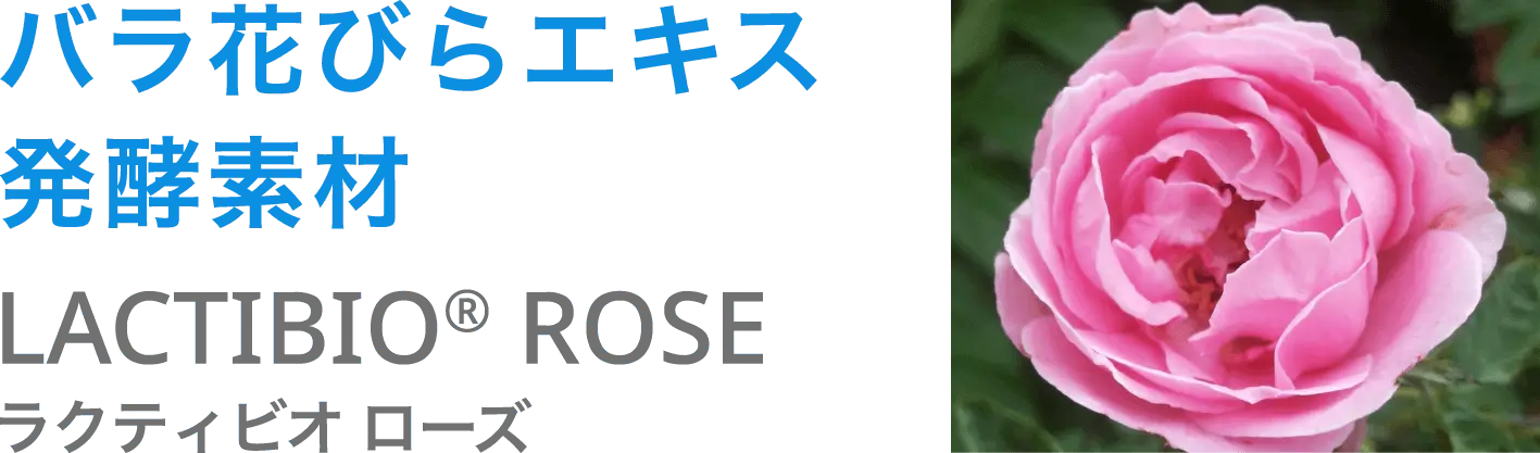 LACTIBIO ROSE
