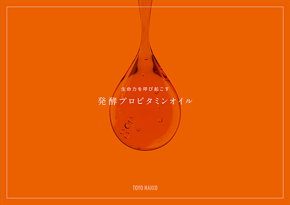 発酵プロビタミンオイルパンフ